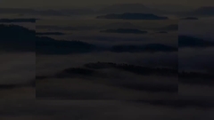 কোম্পানি পরিচিতি